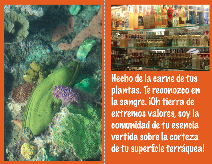 Captura de Pantalla 2019-04-22 a la(s) 18.33.14