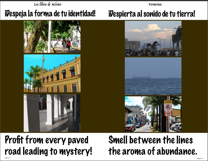 Captura de Pantalla 2019-08-30 a la(s) 19.14.11